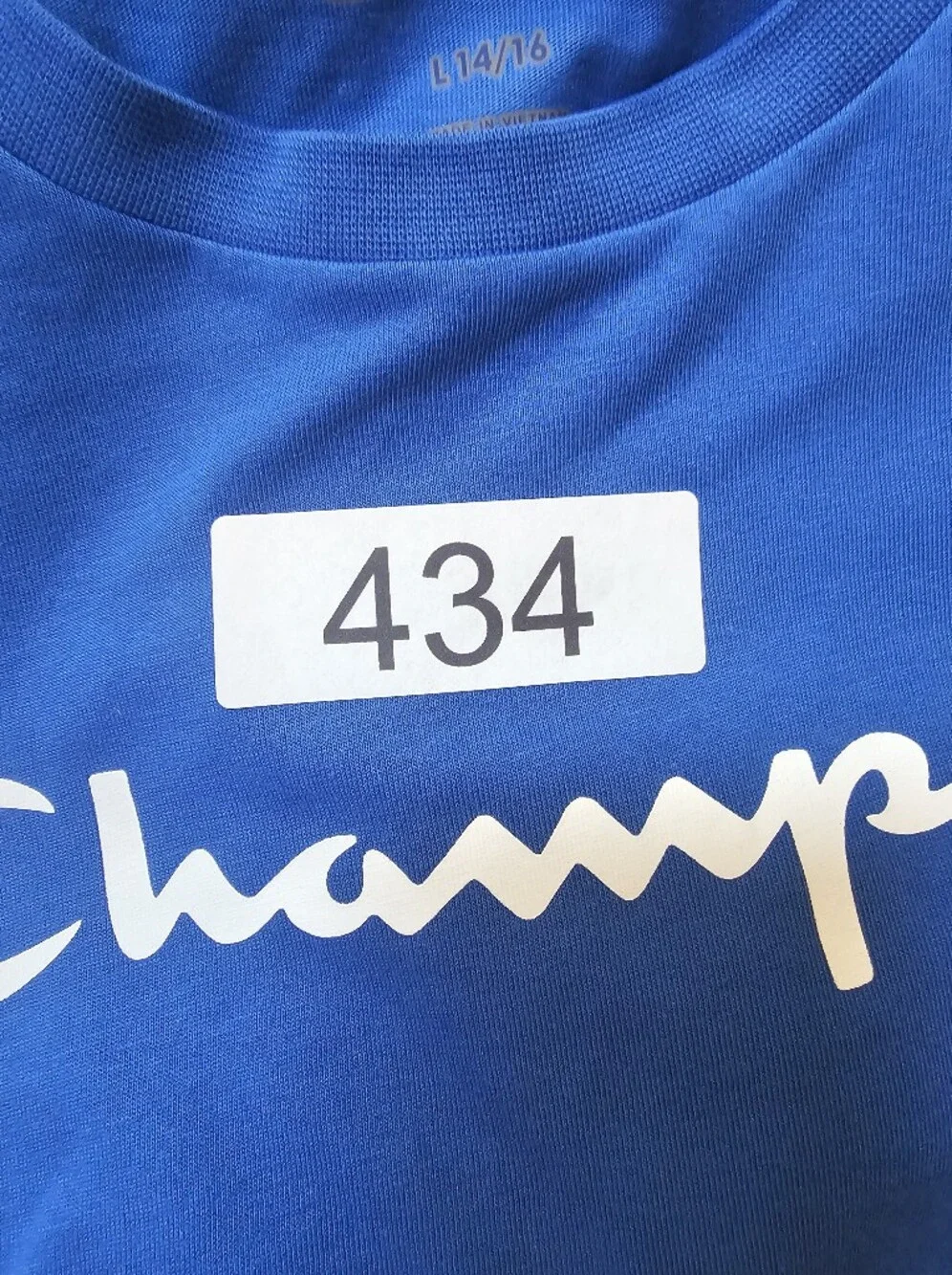 Champion Men's Blue Logo Crew Neck T-Shirt